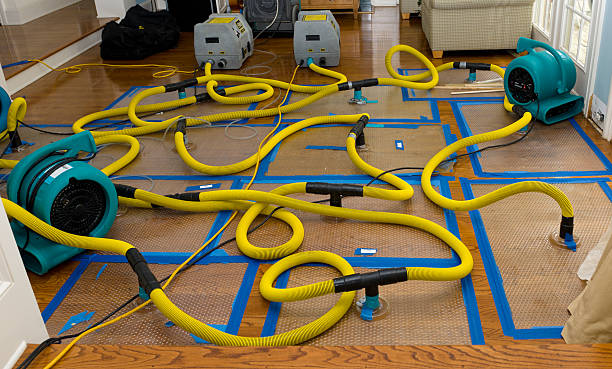 Professional Water Extraction technician working in Dundee, OH